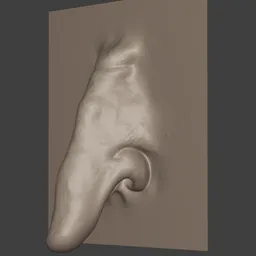 Goblin Nose