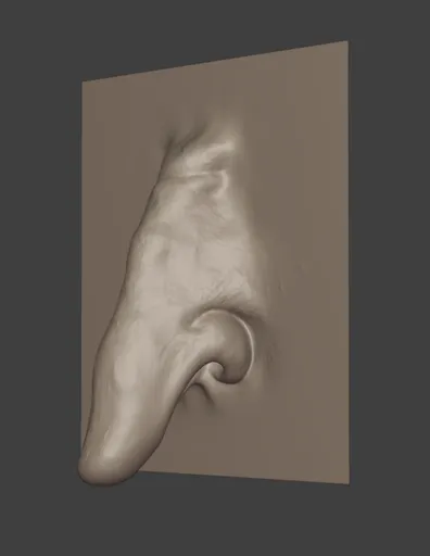 Goblin Nose