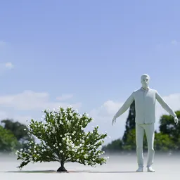 Tree Whiterock