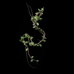 Climbing Vine - Leaf 03