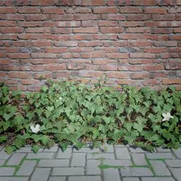 Realistic 3D ivy model with high-quality textures for mystical, post-apocalyptic, or ancient 3D scenes, compatible with Blender.