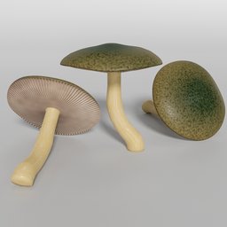 Toxic fantasy mushroom procedural