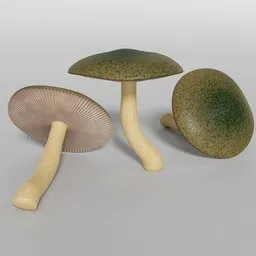 "Procedurally painted toxic fantasy mushroom 3D model for Blender 3D. Ideal for EEvEE rendering, this unique design is inspired by Pisanello and Kōshirō Onchi. Perfect for nature and outdoor scenes, this model features distinct mottling coloring and brass wheels, capturing the essence of the windigo."