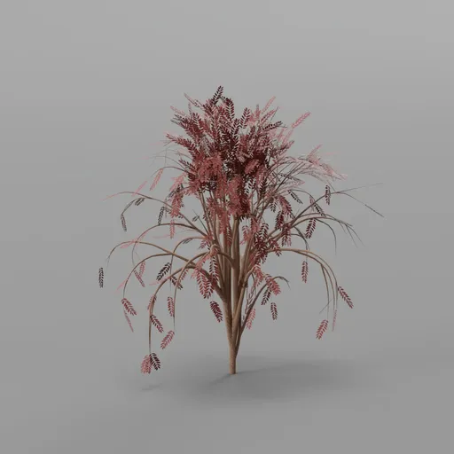 Bush