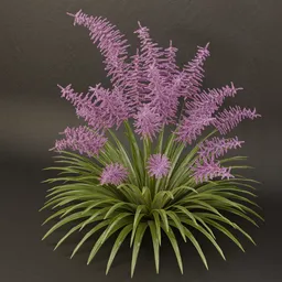 SJ-Enchanted Frond.blend