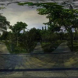 Small road at night