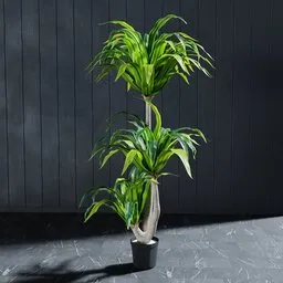 Highly detailed Dracena artificial tree 3D model, customizable for Blender, ideal for adding greenery to virtual spaces.