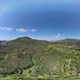 Green tree mountain cloud bluesky