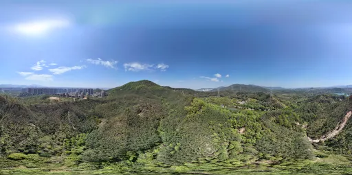 Green tree mountain cloud bluesky