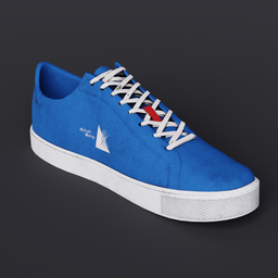 Blue Fabric Shoe
