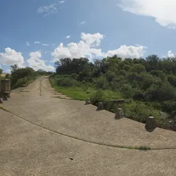 Dam Wall