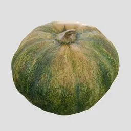 Pumpkin or Squash