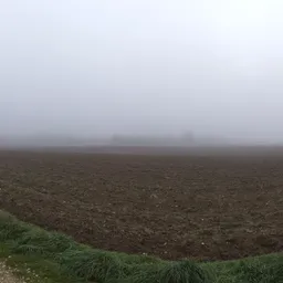 Misty Farm Road