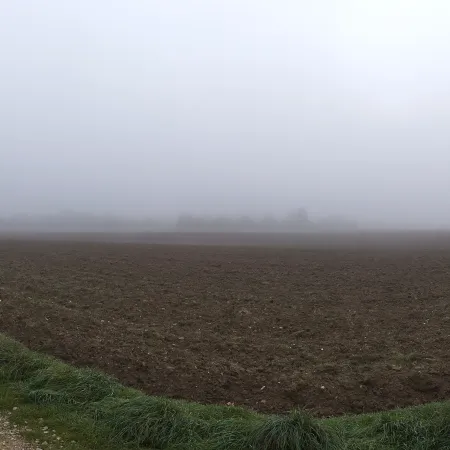 Misty Farm Road