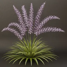 SJ- Secret Bloom Bush