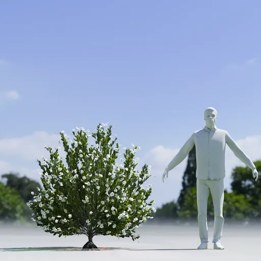 Tree Whiterock