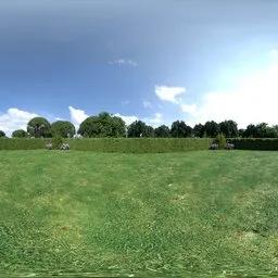Garden Summer Backdrop Day