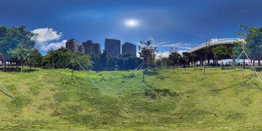 Green grass in the sun