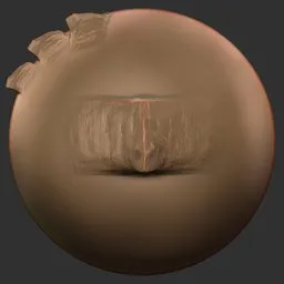 Nasal Horn Ridge