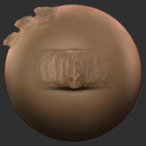 Nasal Horn Ridge
