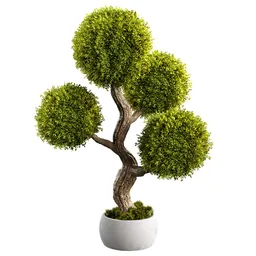 Realistic potted topiary tree 3D model with lush green foliage created in Blender, available in .blend format, rendered in Cycles.