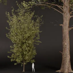 SJ-lowpoly pine branchs perfect