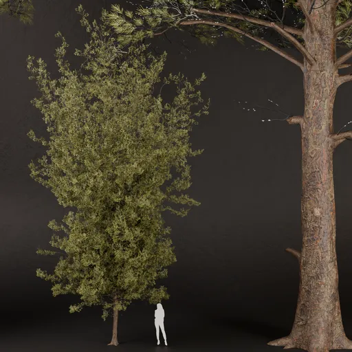 SJ-lowpoly pine branchs perfect