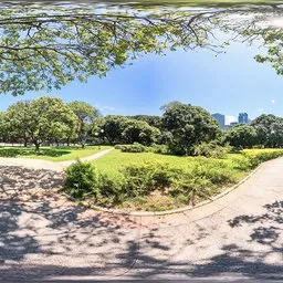 Fork in the road during the day