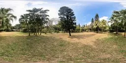 Sunny open field HDR with dry yellow grass, diverse trees under a cloudy sky for realistic scene lighting.