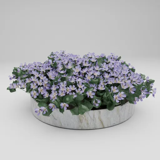 Flowers in Marble Planter