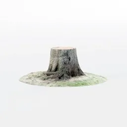 "Low-poly 3D model of a decayed elm tree stump with green mossy area, inspired by Vija Celmins, in Blender 3D. Textured with 2k PBR and photo-scanned for realistic details."