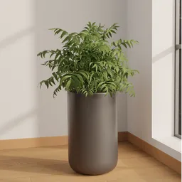 Compact Bamboo Palm Planter