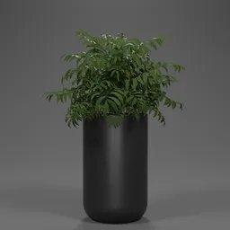 Compact Bamboo Palm Planter