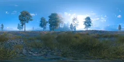 Sun-Kissed Meadow with Sparse Trees.