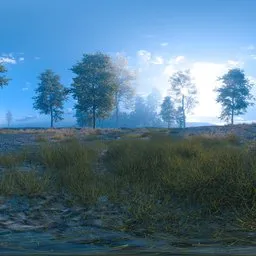 Sun-Kissed Meadow with Sparse Trees.