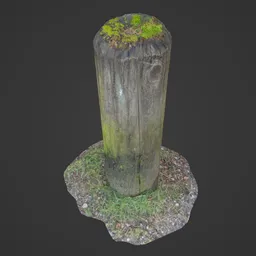 Wood Stump Outdoors Photoscan