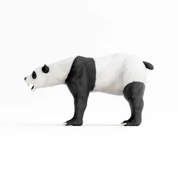 Panda Bear Rigged