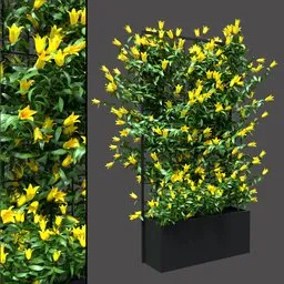 Yellow Vine Screen