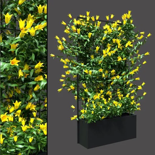 Yellow Vine Screen