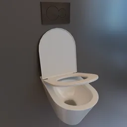 Wall mounted toilet