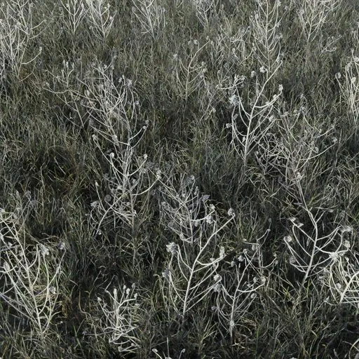 High-quality 3D tall grass model with buds, optimized for Blender, suitable for gaming and various 3D scenes.