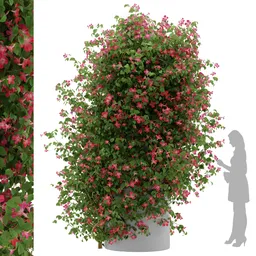 Ivy Flower Column - Chinese trumpet vine