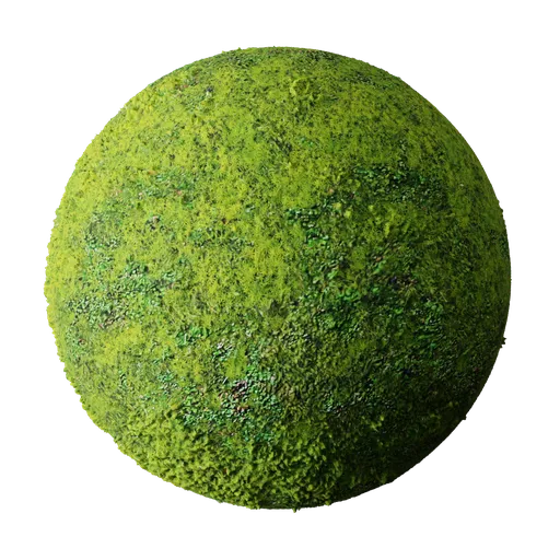 Moss
