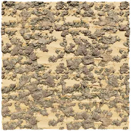 Tileable Rocky Desert Sand Terrain