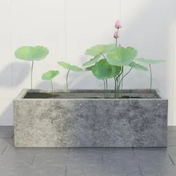 Lotus Pond Planter