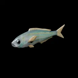 Animated Mediterranean fish, Bogue