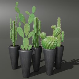 "Indoor cactus plant set 03 in black pots on a gray surface, perfect for architectural visualisation and video game asset files. High-quality 3D model collection for Blender 3D featuring unique cactus plants. Reduce character duplication with this ceramics installation view."