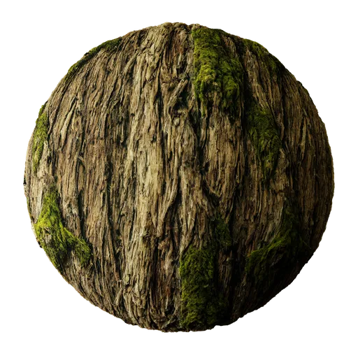 High-resolution tree bark with moss texture for PBR material in 3D modeling, suitable for Blender and other applications.