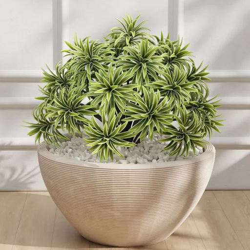 Potted Plant