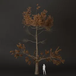 SJ-Pale Forest Pine Tree